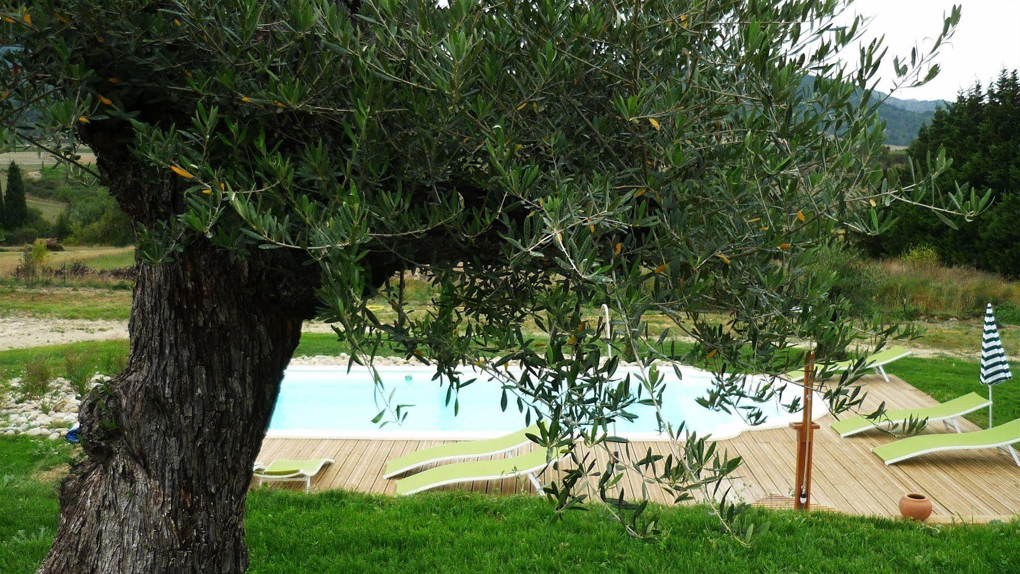 Relais De L'Alsou- Piscine Bed & Breakfast Labastide-en-Val Eksteriør bilde